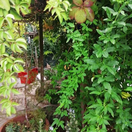 Holiday home Charming Center Terrace & Parking