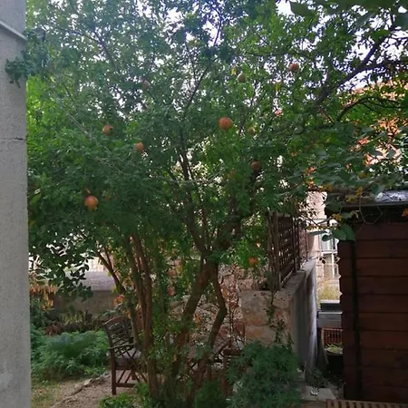 Дом отдыха Charming Center Terrace & Parking Сплит