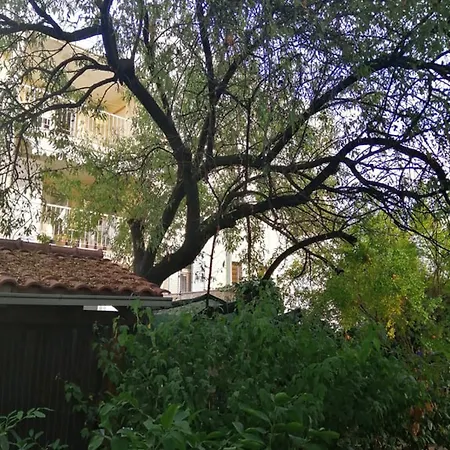 Charming Center Terrace & Parking Holiday home