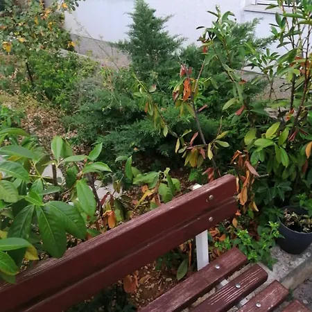 Holiday home Charming Center Terrace & Parking