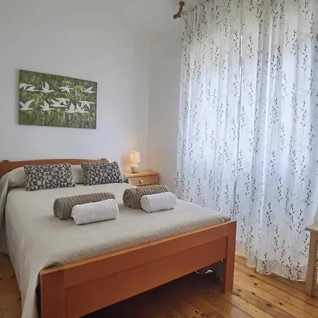Charming Center Terrace & Parking Holiday home